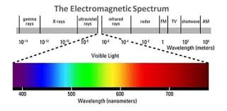 Need Bluelight Glasses?