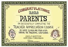 Home Schooling and  Provisional Phones